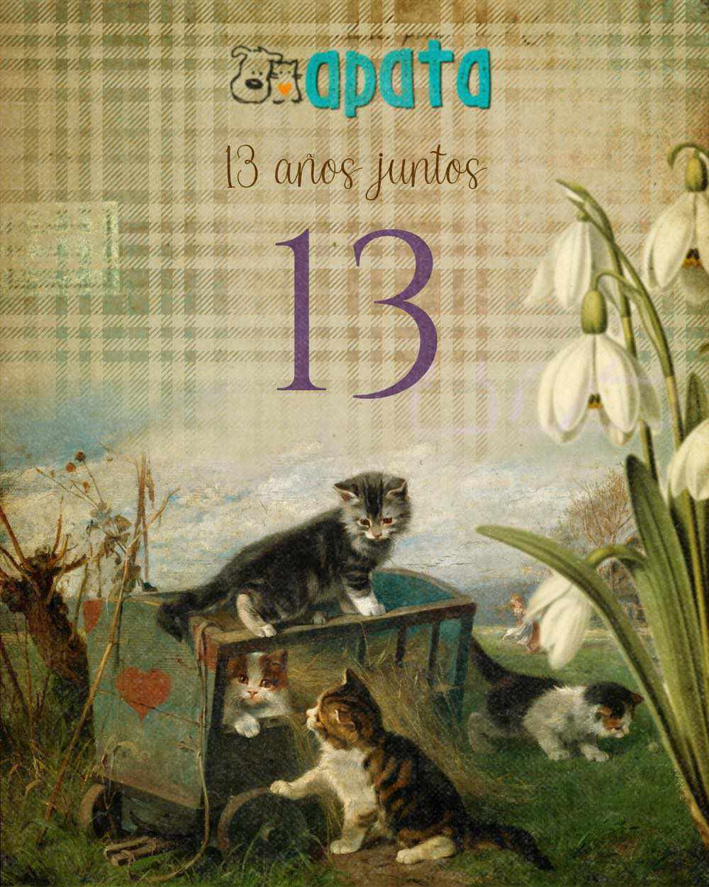 ¡13 CUMPLEAÑOS DE APATA!