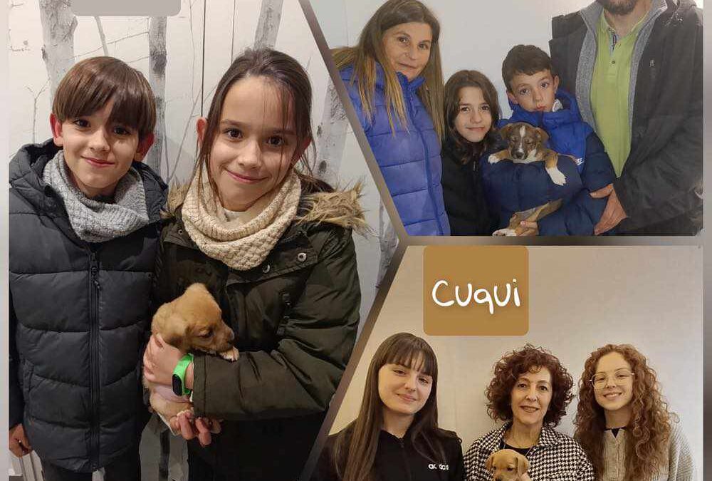 3 cachorros adoptados en Tarazona (Zaragoza)