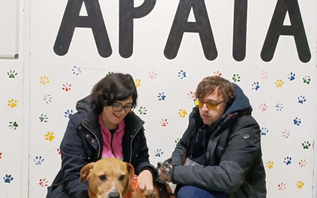 BAFY, perra mestiza adoptada en Tarazona