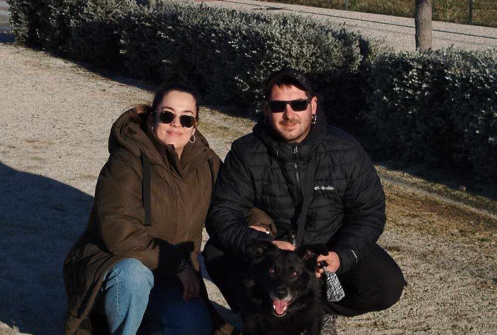 BALOO, perro mestizo de border collie adoptado.
