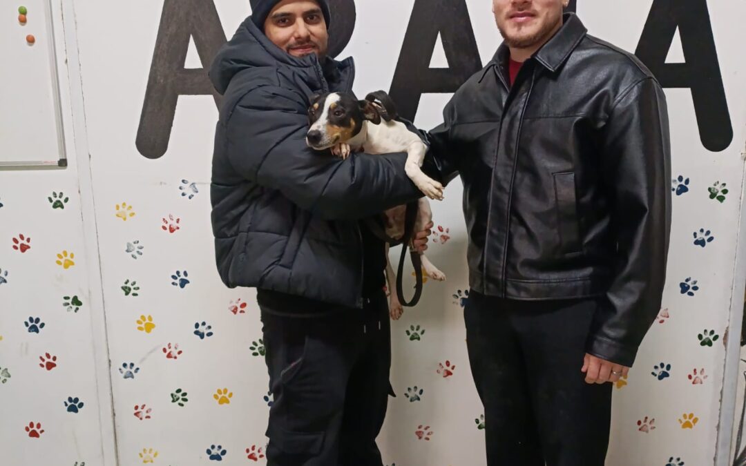 ¡CHIS, perro bodeguero adoptado!