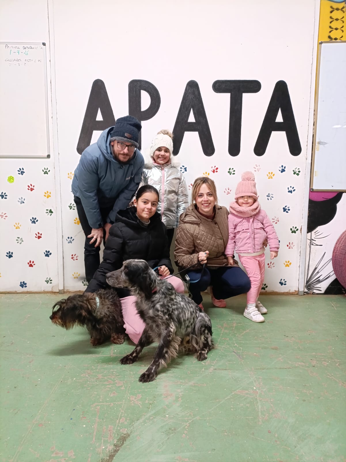 FILO, perra setter adoptada en Tarazona (Zaragoza)