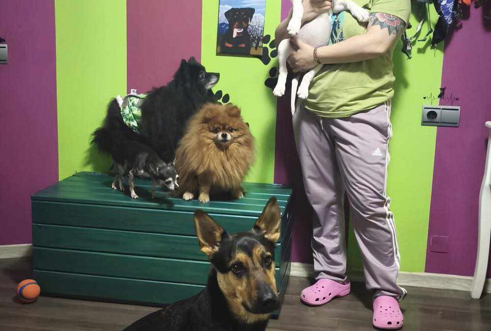 ISIS, cachorra blanca adoptada en Tarazona (Zaragoza)