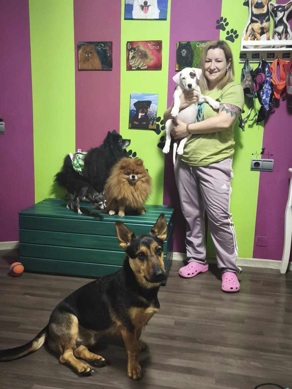 ISIS, cachorra blanca adoptada en Tarazona (Zaragoza)