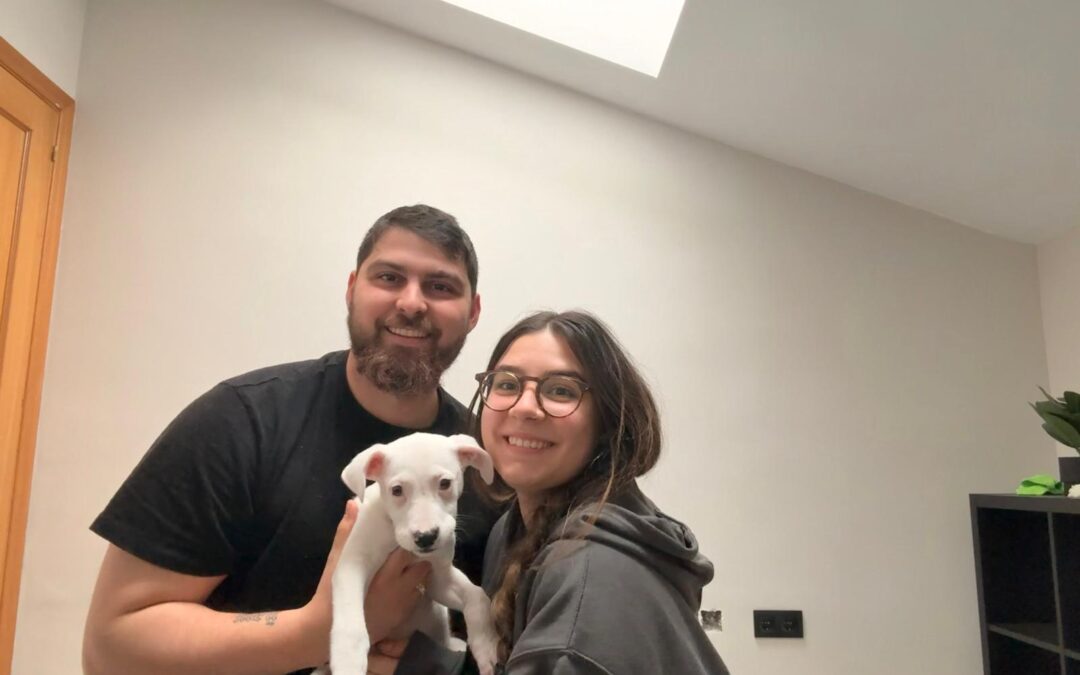 NUT, cachorra blanca adoptada en Tarazona (Zaragoza)