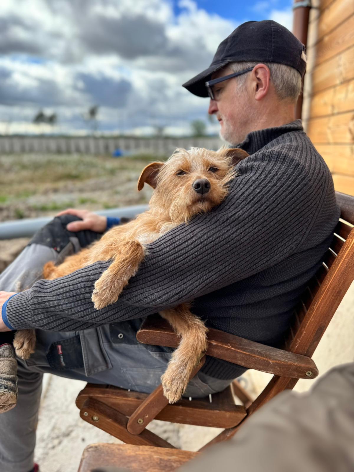 PEGGY, perra podenco adoptada en Tarazona (Zaragoza)