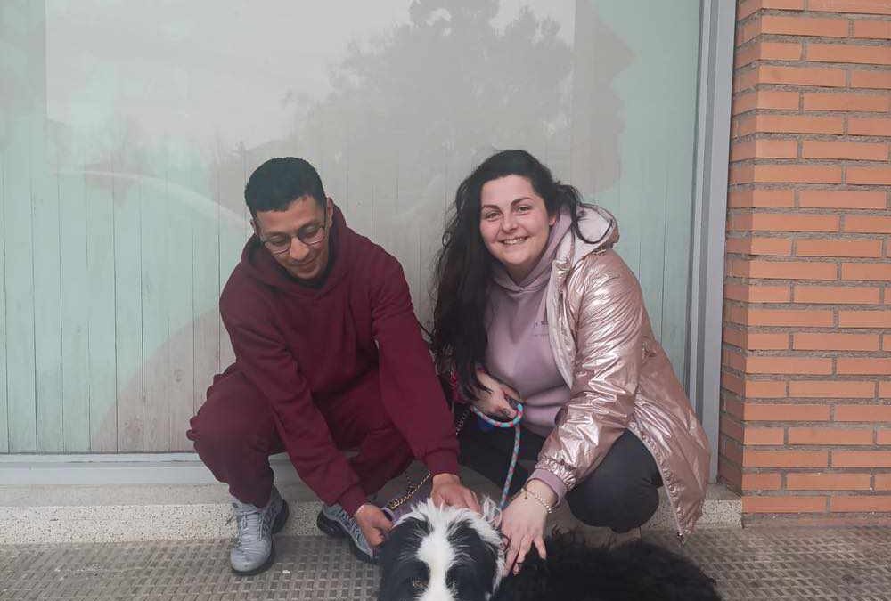 POMPÓN, perro joven adoptado en Tarazona (Zaragoza)