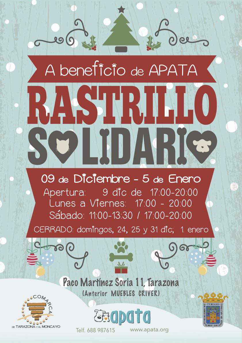 RASTRILLO NAVIDEÑO de APATA 2025
